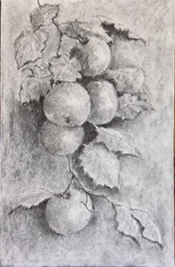 Apples on wall in charcoal